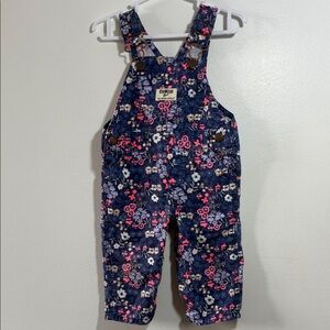 OshKosh B'gosh Kids Floral Overall, PRELOVED, 6M